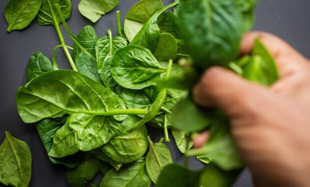 Spinach, Vegetable